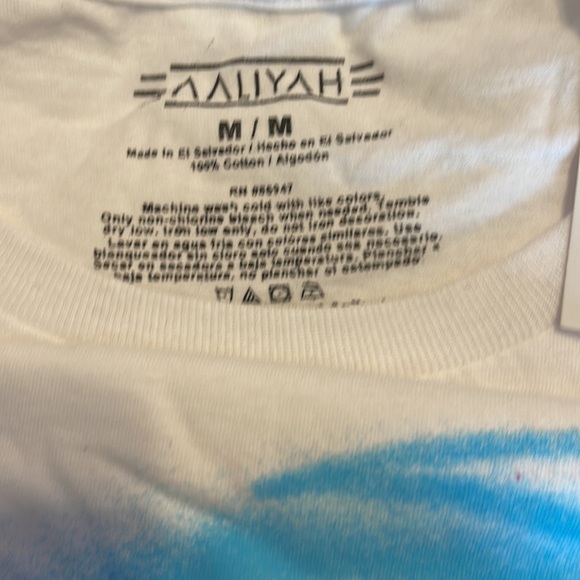 ❌❌❌SOLD❌❌❌AALIYAH Graphic Tee - Picture 2 of 2